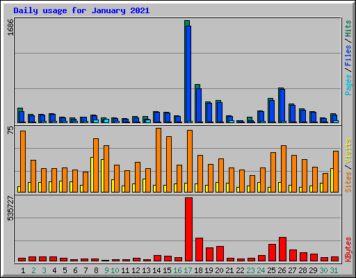 Daily usage for January 2021