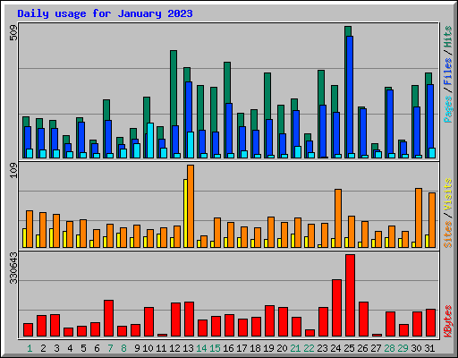 Daily usage for January 2023