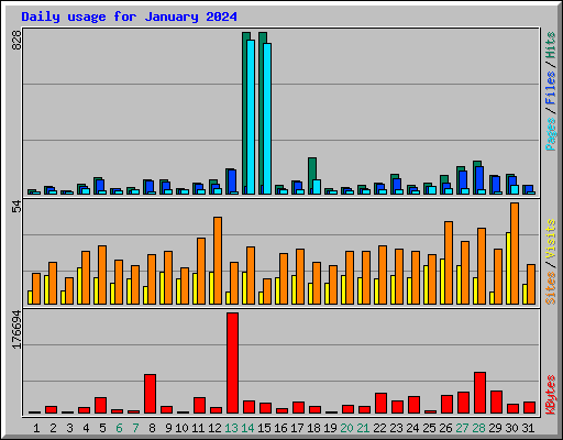 Daily usage for January 2024