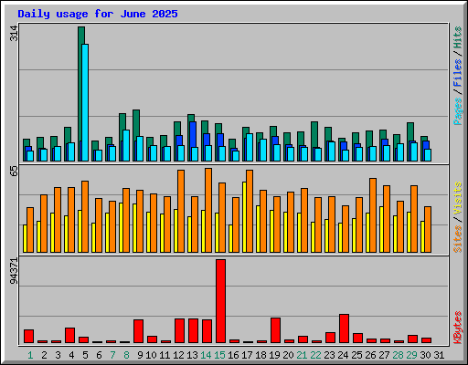 Daily usage for June 2025