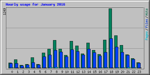 Hourly usage for January 2016