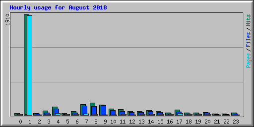 Hourly usage for August 2018