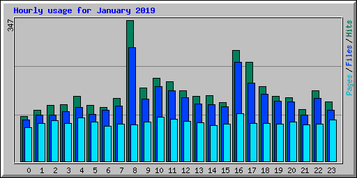 Hourly usage for January 2019