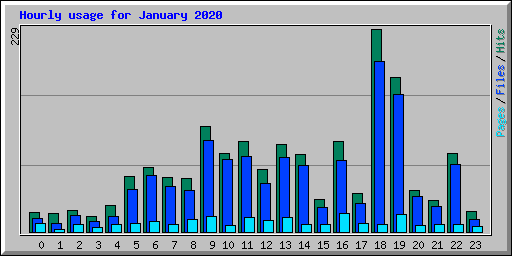 Hourly usage for January 2020