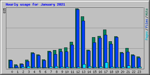 Hourly usage for January 2021