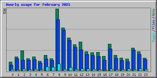 Hourly usage for February 2021