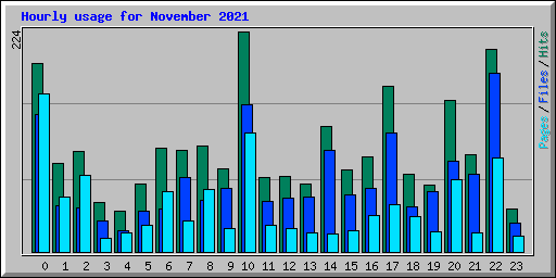 Hourly usage for November 2021