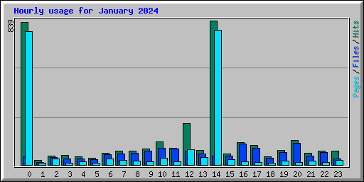 Hourly usage for January 2024
