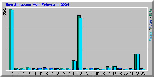 Hourly usage for February 2024