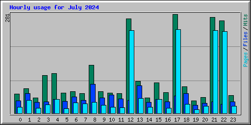 Hourly usage for July 2024