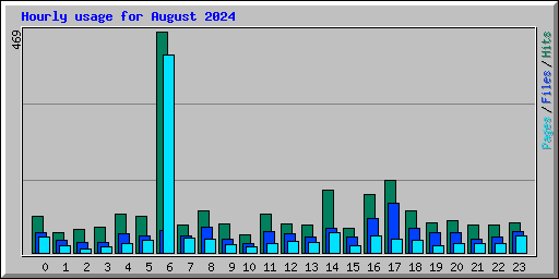 Hourly usage for August 2024