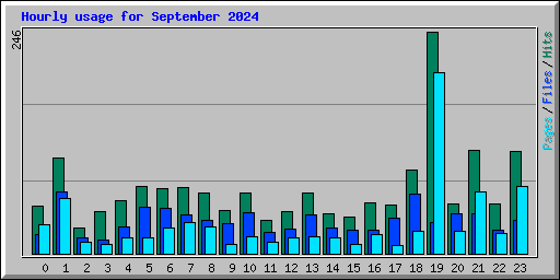 Hourly usage for September 2024
