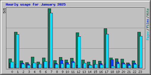 Hourly usage for January 2025