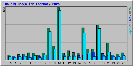 Hourly usage for February 2025