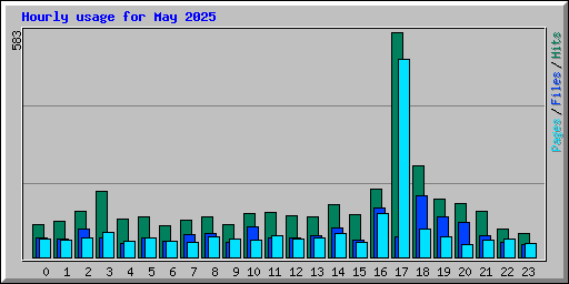 Hourly usage for May 2025