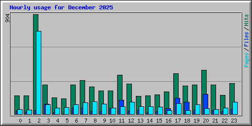 Hourly usage for December 2025