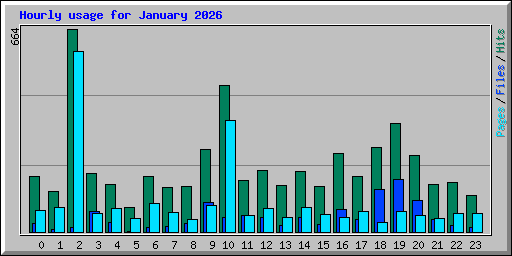 Hourly usage for January 2026