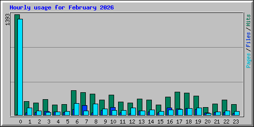 Hourly usage for February 2026
